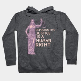 Reproductive Justice Hoodie